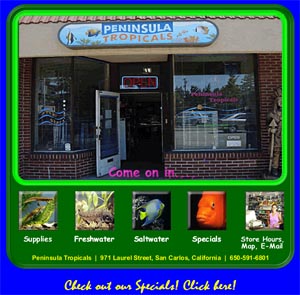 Peninsula Tropicals